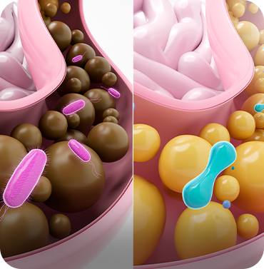 Un microbioma saludable