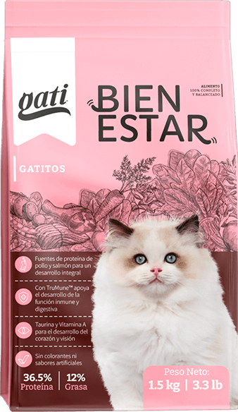 Descripción Gatitos
