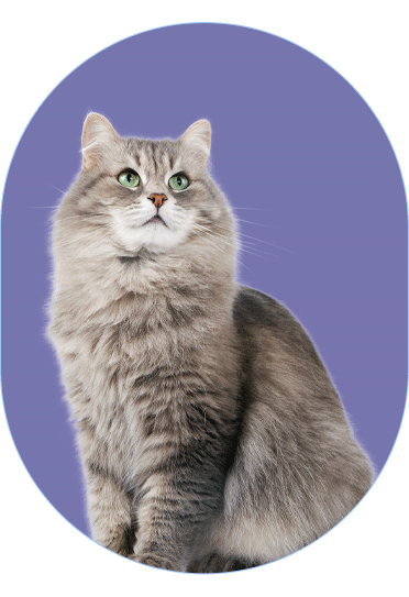 La Magia del Microbioma