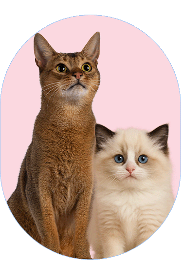 El poder de los postbióticos