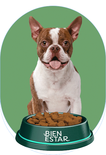 La Magia del Microbioma