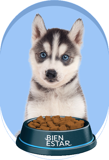 El poder de los postbióticos