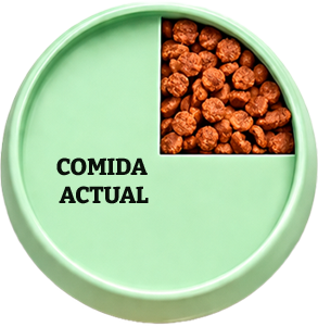 Croquetas Dogui Bienestar — 25% de la ración
