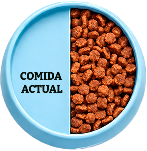 Croquetas Dogui Bienestar — 50% de la ración