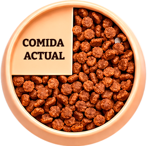 Croquetas Dogui Bienestar — 75% de la ración